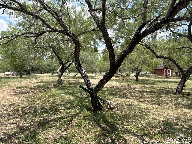 Image 3 of 26 For 1440 County Road 429