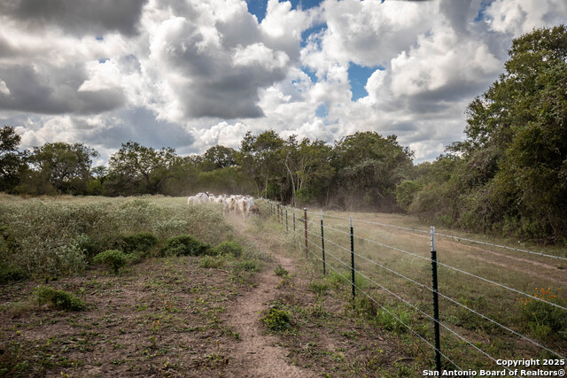 Image 16 of 49 For 000 Fm 766