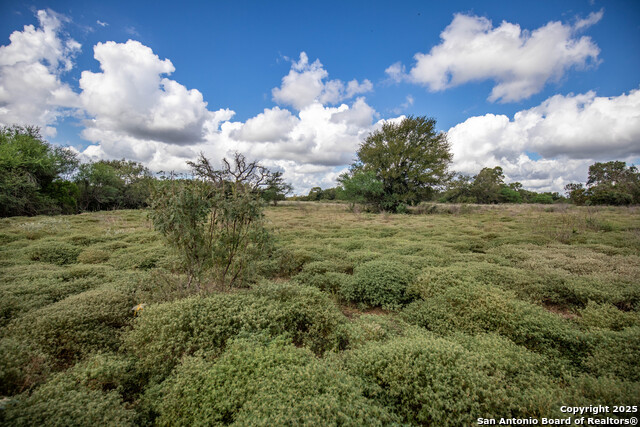 Image 26 of 49 For 000 Fm 766