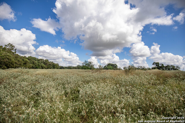 Image 28 of 49 For 000 Fm 766