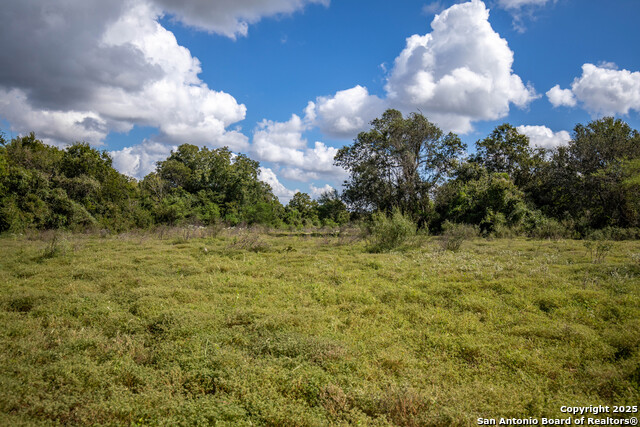 Image 29 of 49 For 000 Fm 766