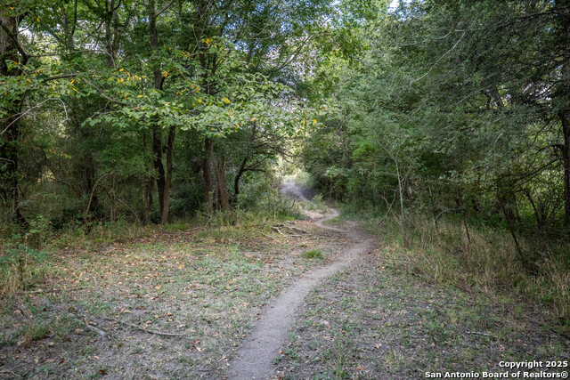 Image 32 of 49 For 000 Fm 766