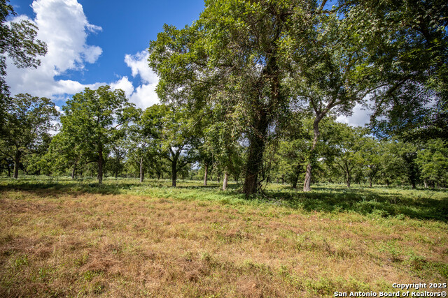 Image 34 of 49 For 000 Fm 766