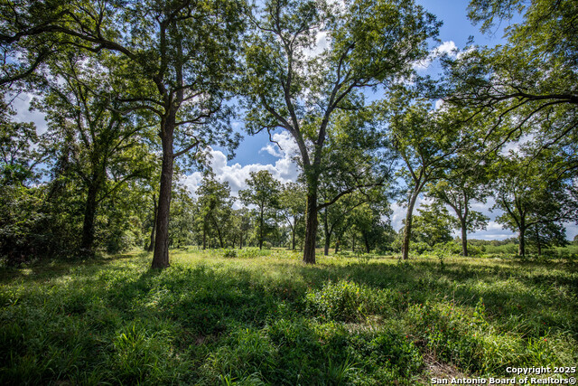 Image 39 of 49 For 000 Fm 766