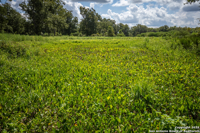 Image 40 of 49 For 000 Fm 766