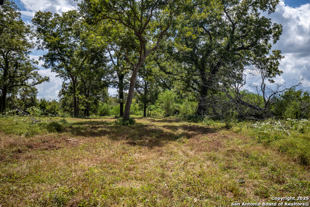 Image 45 of 49 For 000 Fm 766