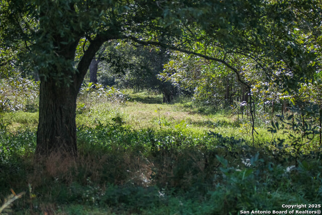 Image 49 of 49 For 000 Fm 766