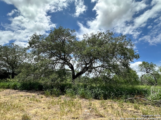 Image 8 of 15 For 7527 Highway 16 N