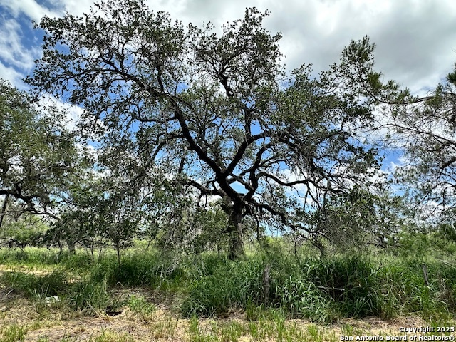 Image 9 of 15 For 7527 Highway 16 N