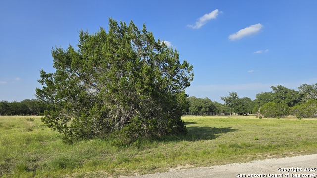 Image 15 of 18 For Lot 4 Settlers