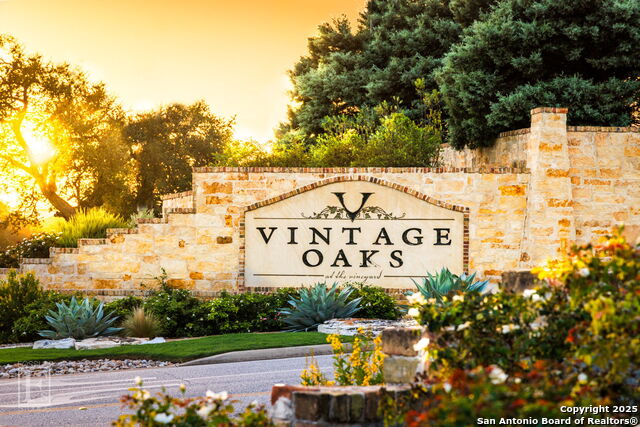 Image 4 of 19 For 1510 Syrah  