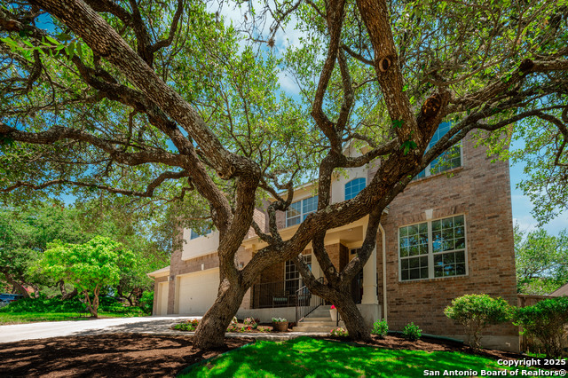 Details for 24214 Bear Claw, San Antonio, TX 78258