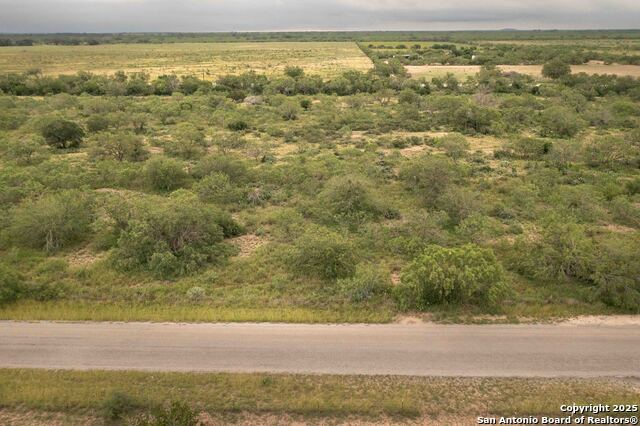 Listing photo id 2 for Lot 2 County Road 429