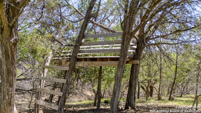 Listing photo id 32 for 13132 State Highway 16
