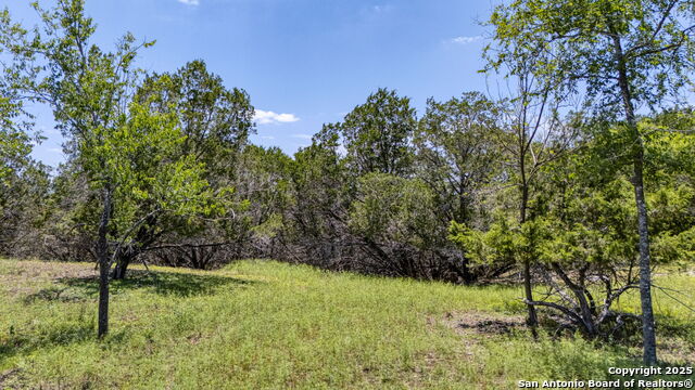 Listing photo id 34 for 13132 State Highway 16
