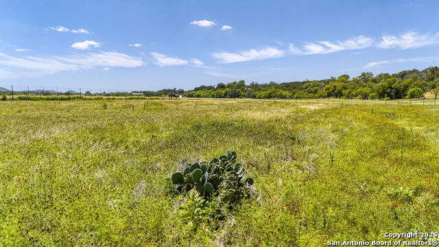 Listing photo id 41 for 13132 State Highway 16