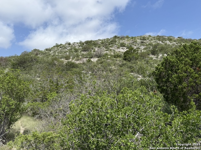 Listing photo id 13 for Tbd Murray Ranch Road
