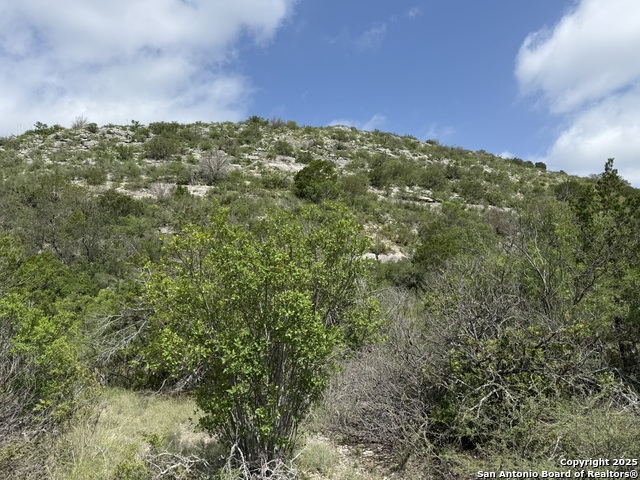 Listing photo id 14 for Tbd Murray Ranch Road