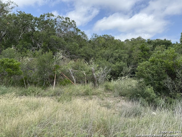 Listing photo id 15 for Tbd Murray Ranch Road