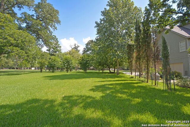 Image 10 of 12 For 337 Fair  