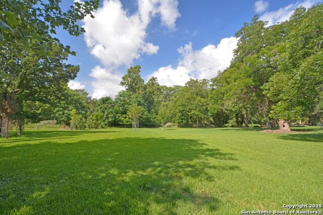 Image 11 of 12 For 337 Fair  