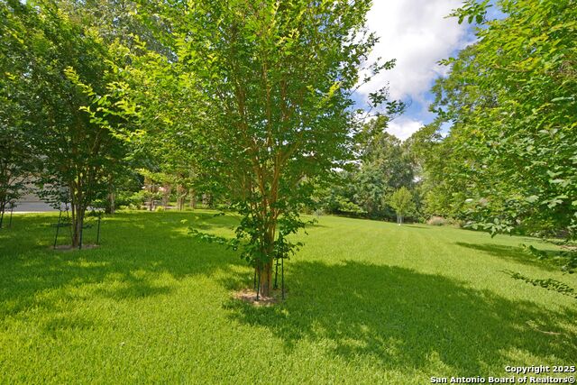 Image 12 of 12 For 337 Fair  