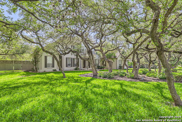 Image 4 of 44 For 512 Blackjack Oak