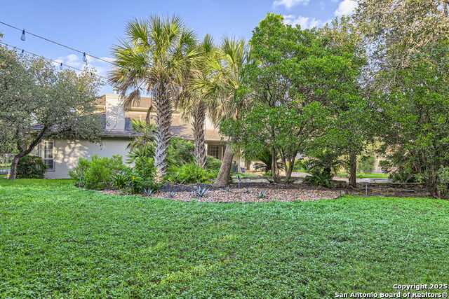 Image 40 of 44 For 512 Blackjack Oak