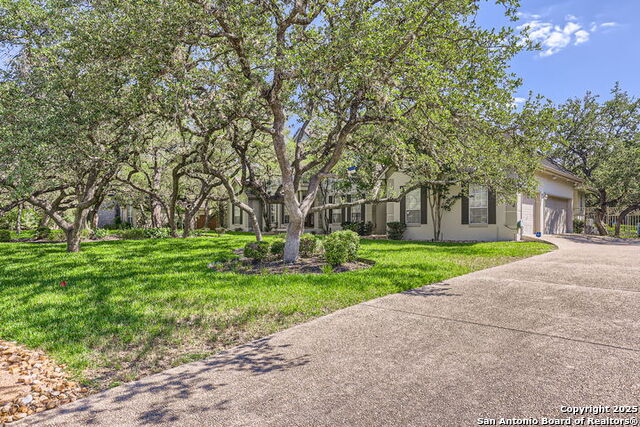 Image 5 of 44 For 512 Blackjack Oak