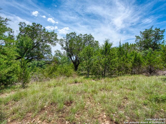 Details for 114 Oyster  , Canyon Lake, TX 78133