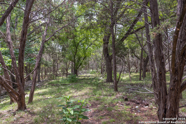Listing photo id 47 for 317 Saddle Mountain