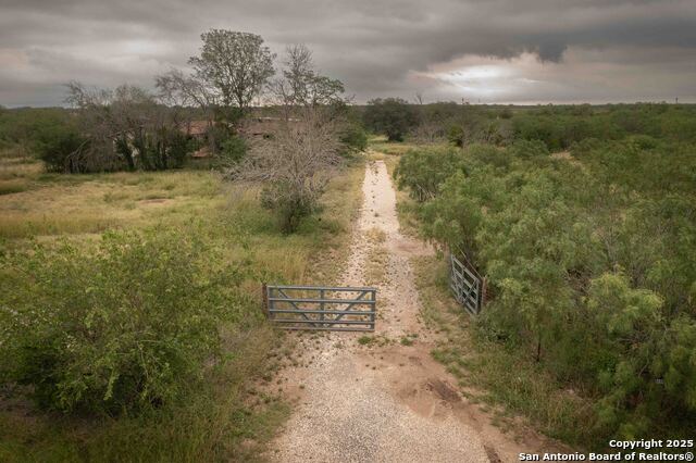 Listing photo id 11 for 486 County Road 429