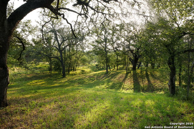 Listing photo id 26 for 797 Glendale Rd