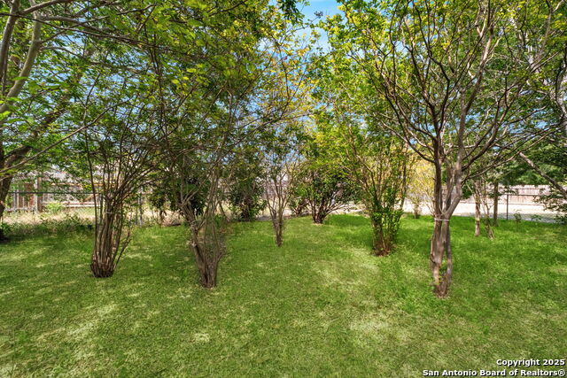 Image 16 of 16 For 113 Lebanon  