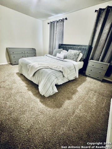 Listing photo id 20 for 11131 Palomino Bluff