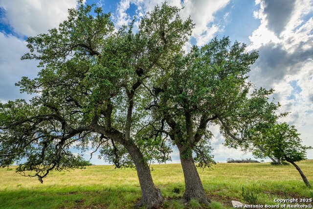 Image 33 of 47 For 439 Junker Hill Dr