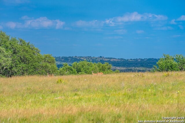 Image 38 of 47 For 439 Junker Hill Dr