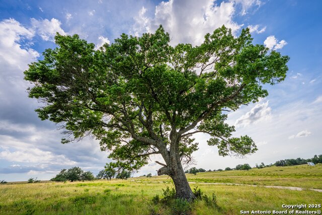 Image 40 of 47 For 439 Junker Hill Dr