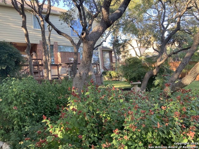 Listing photo id 31 for 12806 Vista Haven