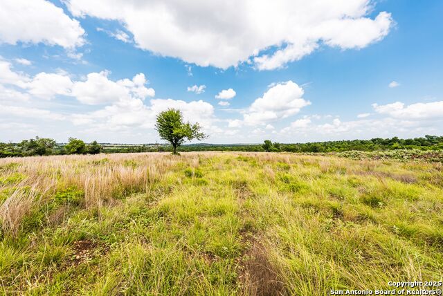 Image 27 of 30 For 596 Ruger  