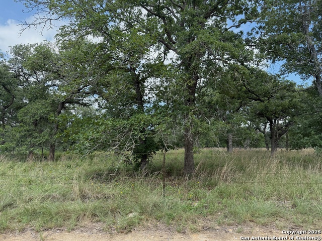 Image 10 of 11 For 297 Littlehorn