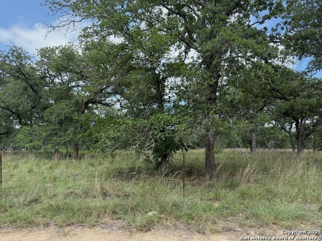 Image 11 of 11 For 297 Littlehorn