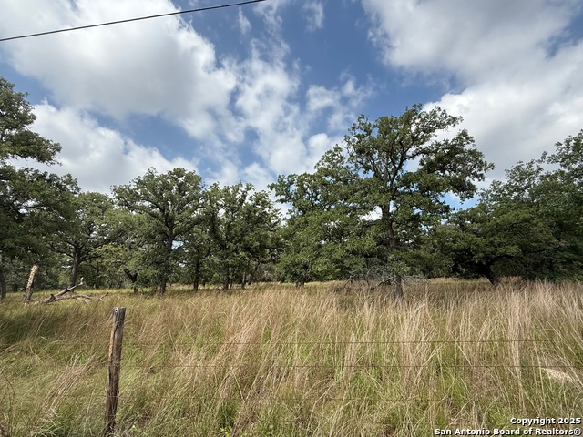 Image 2 of 11 For 297 Littlehorn