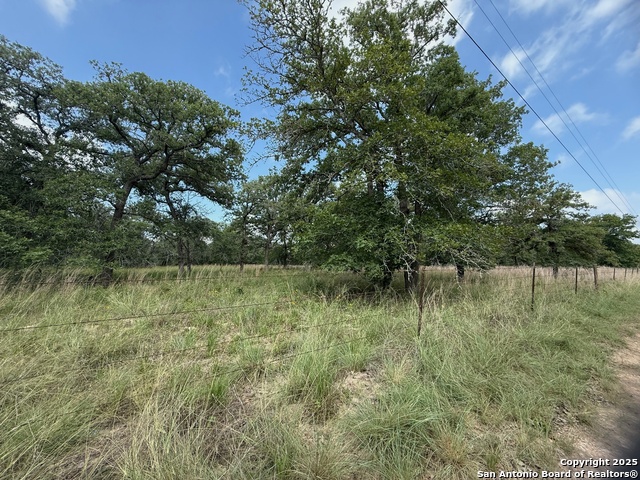 Image 3 of 11 For 297 Littlehorn