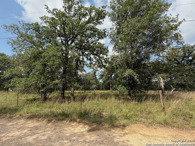 Image 4 of 11 For 297 Littlehorn