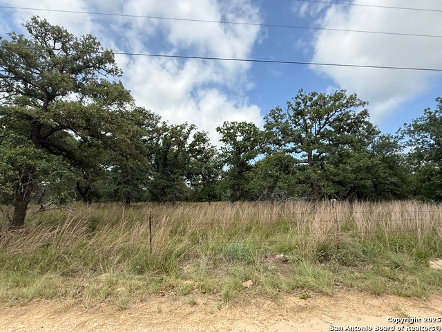 Image 6 of 11 For 297 Littlehorn