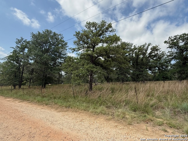 Image 8 of 11 For 297 Littlehorn