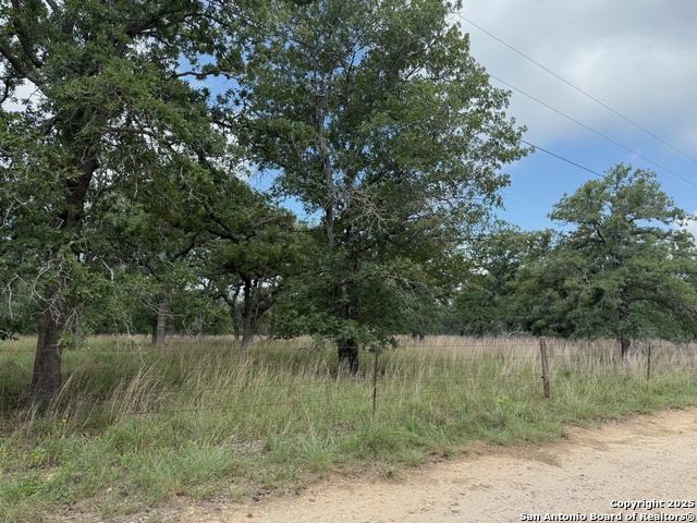 Image 9 of 11 For 297 Littlehorn