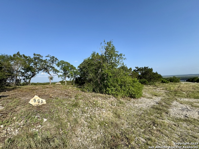 Details for 694 County Road 2801 E, Mico, TX 78056