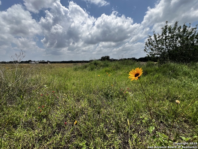 Details for Tbd, Lot 5 Sanctuary Ln, Von Ormy, TX 78073